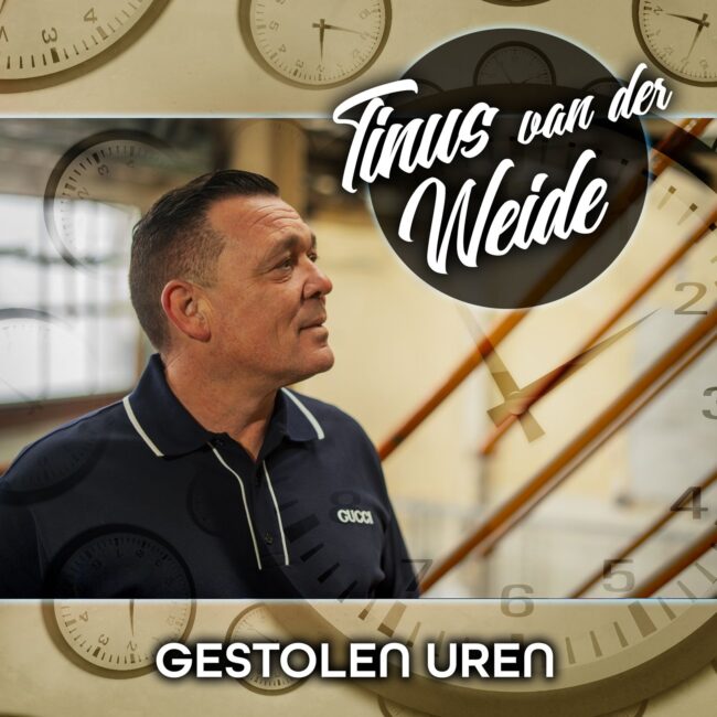 Hoesafbeelding Tinus van der Weide- Gestolen uren